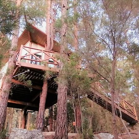 Casita Colgada "Can Lia" La Guancha Dış mekan fotoğraf