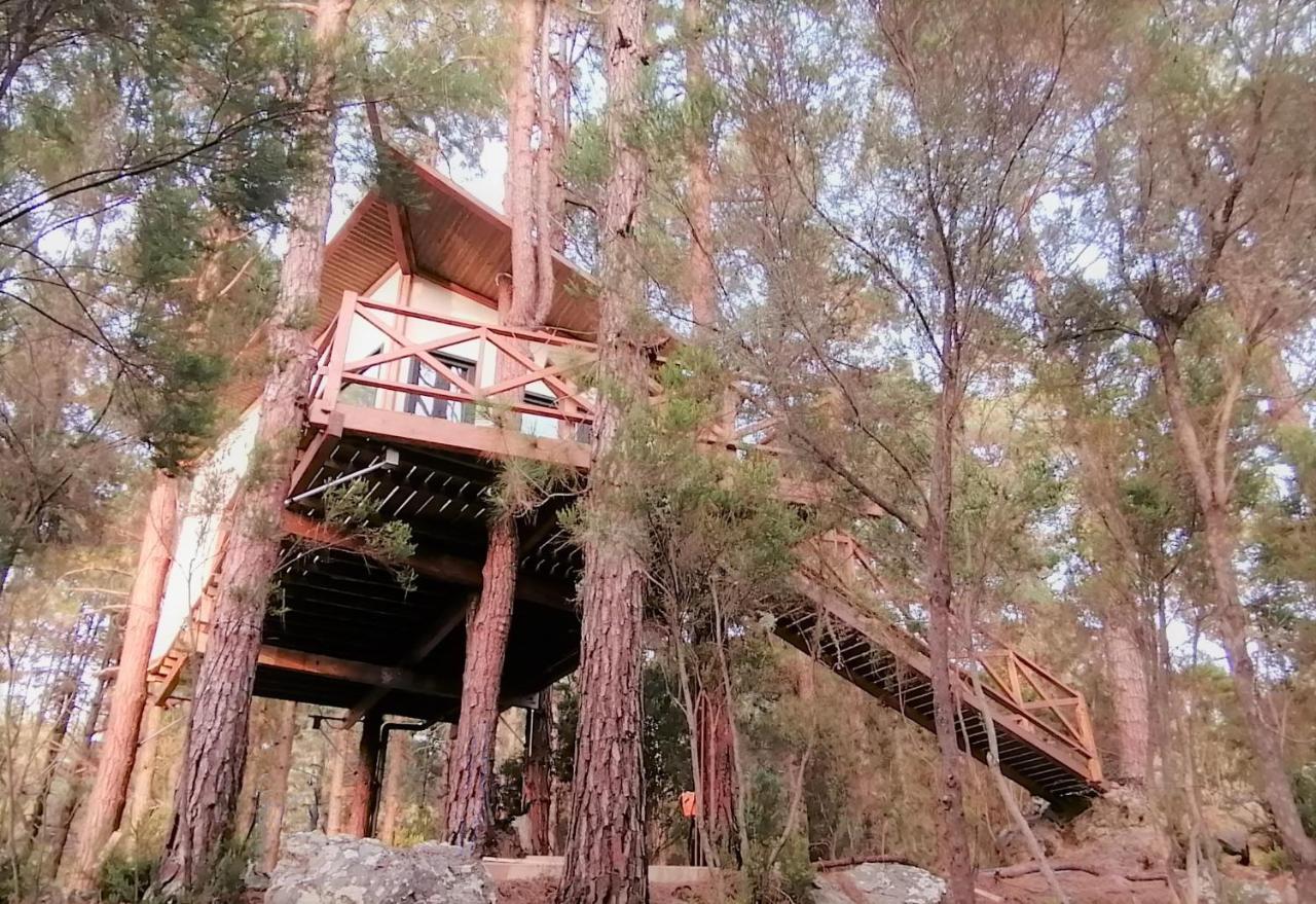 Casita Colgada "Can Lia" La Guancha Dış mekan fotoğraf