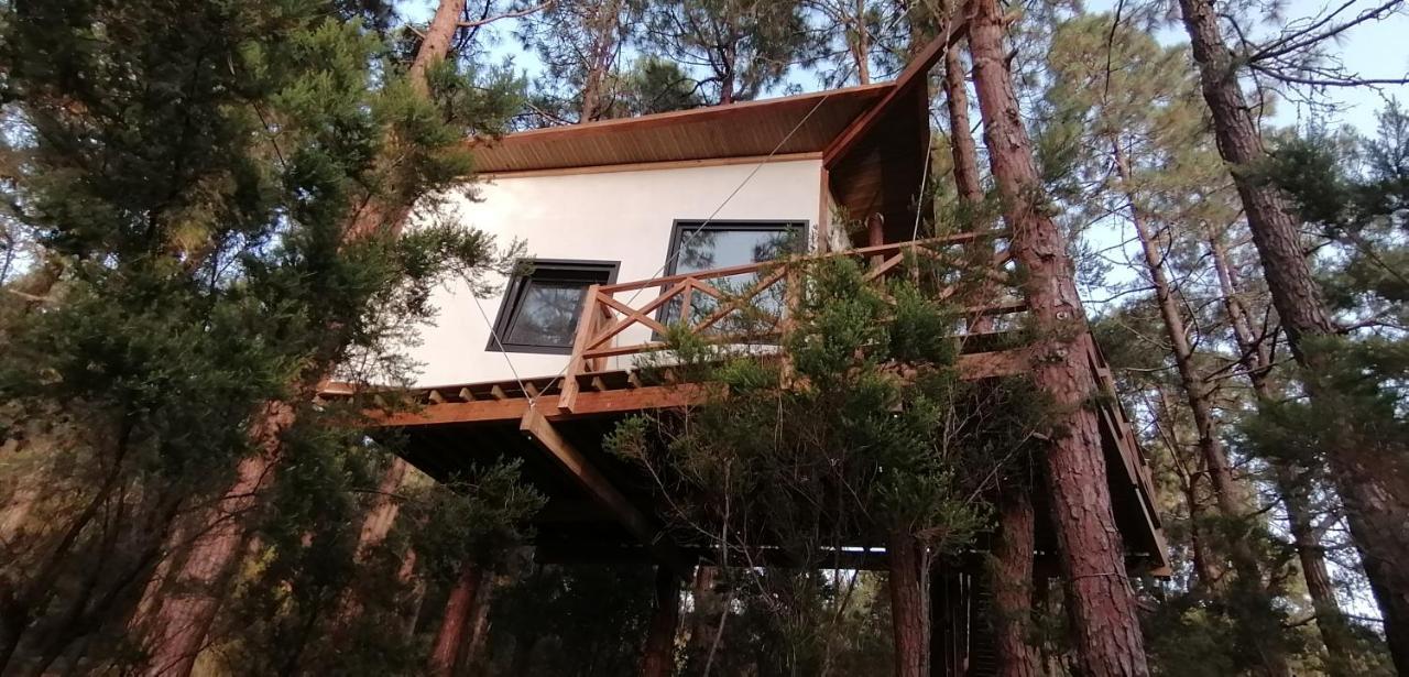 Casita Colgada "Can Lia" La Guancha Dış mekan fotoğraf