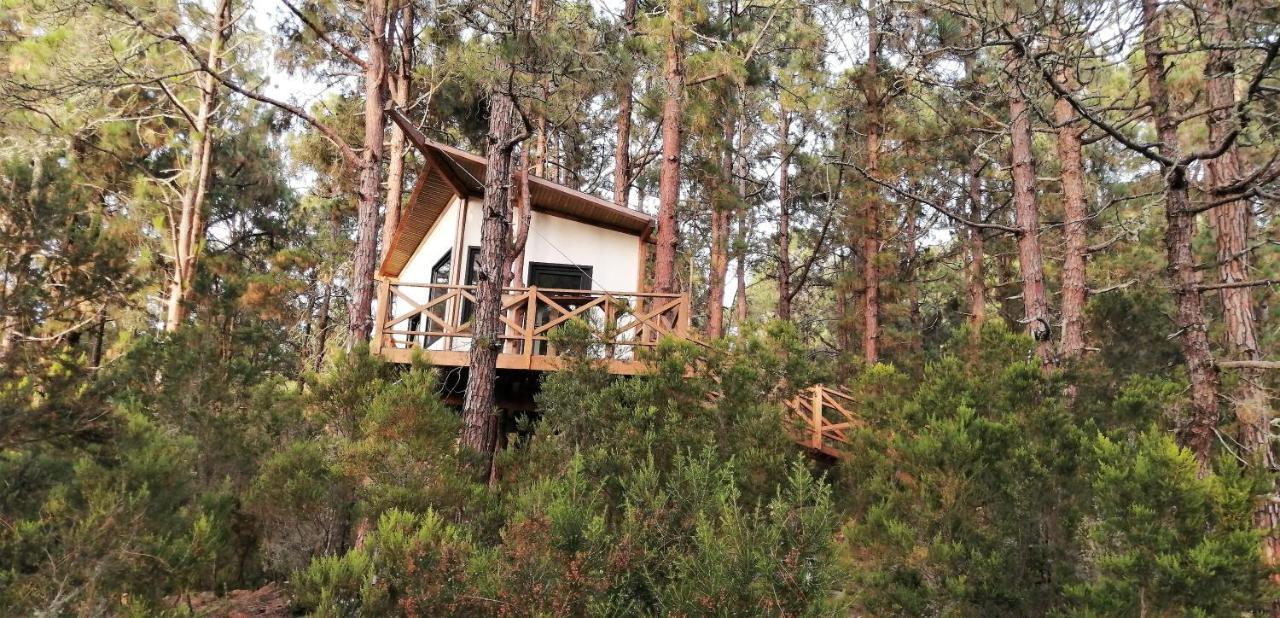 Casita Colgada "Can Lia" La Guancha Dış mekan fotoğraf