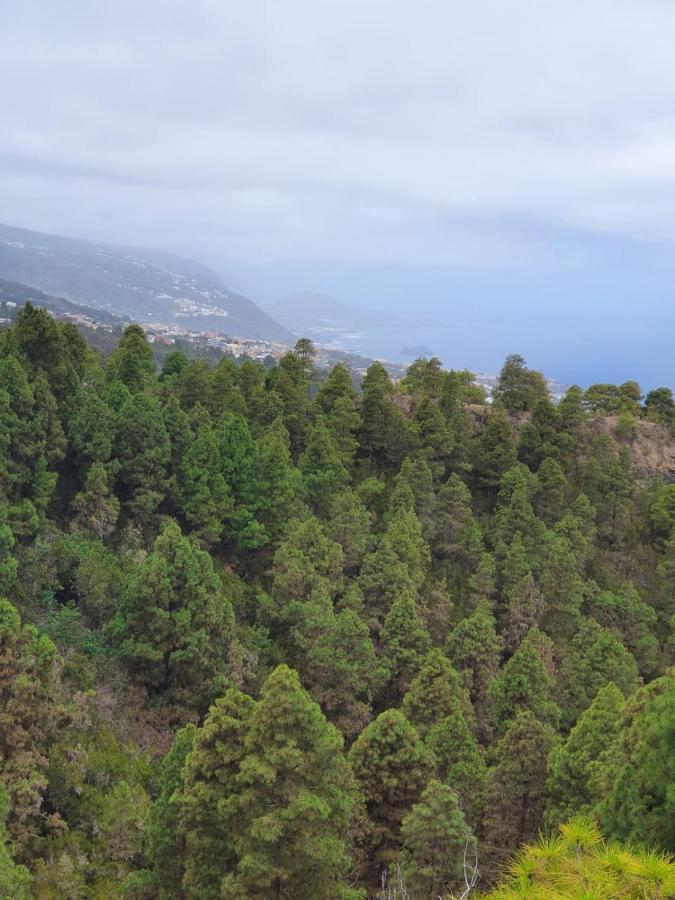 Casita Colgada "Can Lia" La Guancha Dış mekan fotoğraf